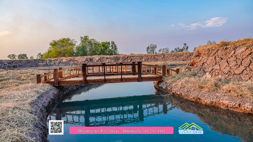 🌿 ที่ดินสวยๆ ขนาด 2 ไร่ พร้อมน้ำไฟ ดินดี น้ำดี อากาศดี มีเพื่อนบ้าน ณ ต.ปากพลี อ.ปากพลี จ.นครนายก