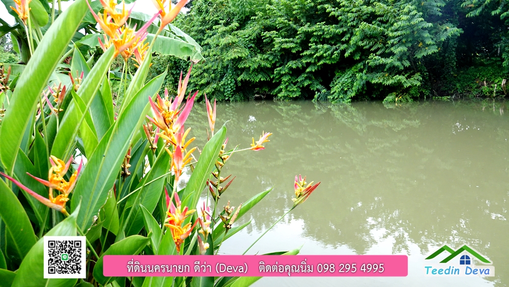 ขายรีสอร์ท ใกล้ โรงเรียนนายร้อย จปร. นครนายก พื้นที่ 3 ไร่ ทำเลดี ด้านหน้าติดถนนลาดยาง ด้านหลังลำคลองธรรมชาติ