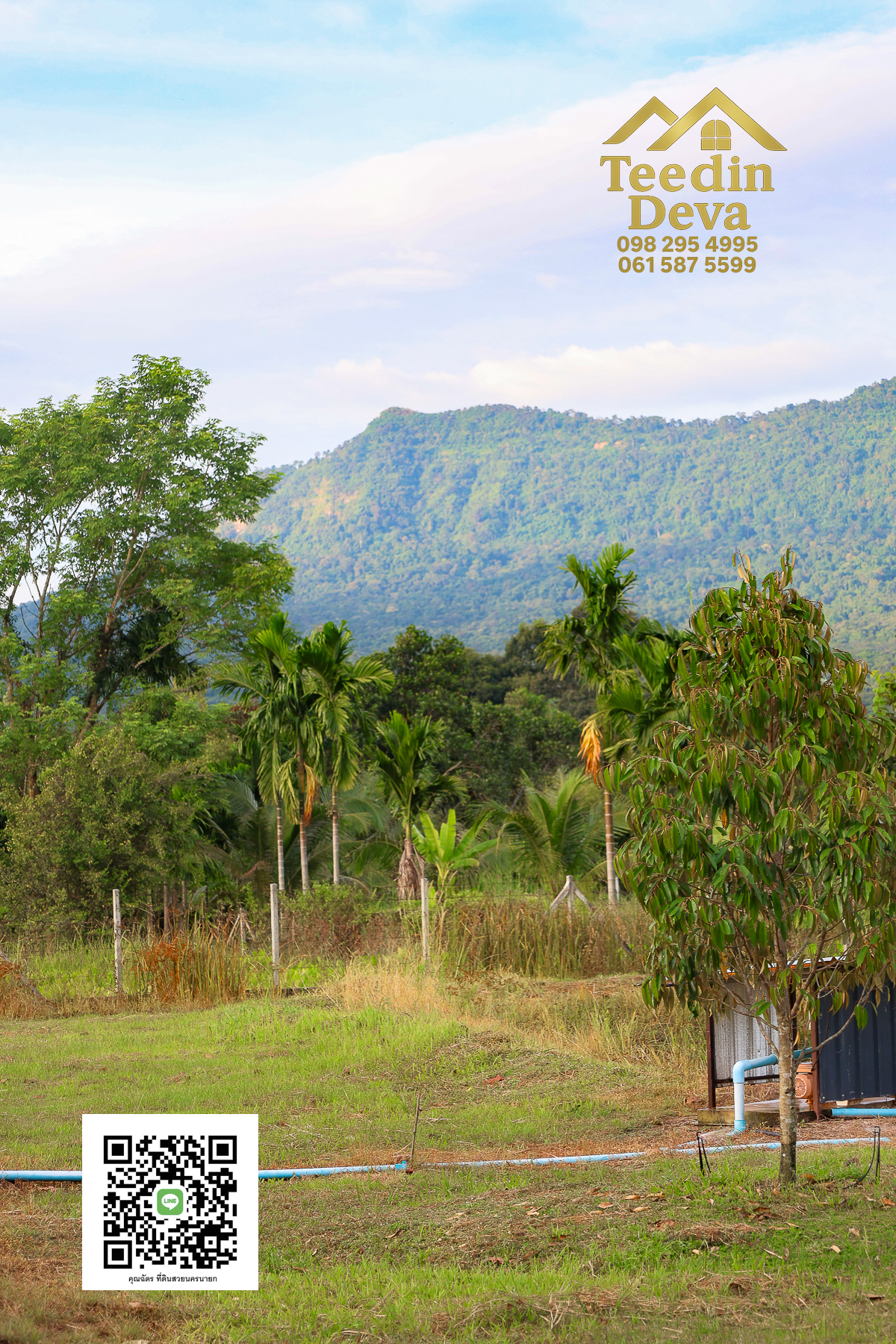 💭 ตื่นเช้าลมเย็น เห็นเขาใหญ่ตรงหน้า... ที่ดินสวนผลไม้ 2 ไร่ 3 งาน ต.นาหินลาด อ.ปากพลี จ.นครนายก