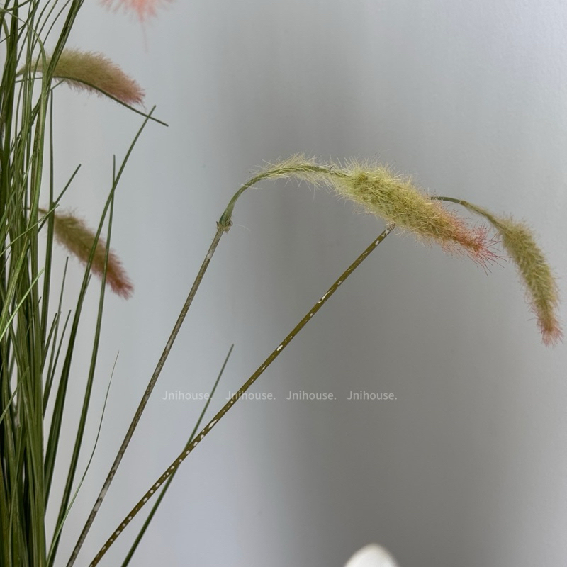 [พร้อมส่ง] Jnihouse : ต้นหญ้าประดิษฐ์ (Artificial Grass Potted)(Tree)