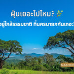 ฝุ่นเยอะไปไหม? 🌿 มาอยู่ใกล้ธรรมชาติที่นครนายกกันเถอะ !