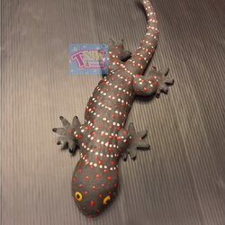 ตุ๊กแก ตุ๊กแกปลอม ตุ๊กแกยาง ยาว11 นิ้ว