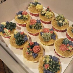 เค้กวันเกิด คัพเค้กกระบองเพรชบัตเตอร์ครีม เนื้อเค้กวนิลาตกแต่งด้วยกระบองเพรชเก๋ๆ จำนวน12ถ้วย