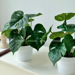 [พร้อมส่ง] Jnihouse : มอนสเตร่าเล็กกระถางขาว (Tree)