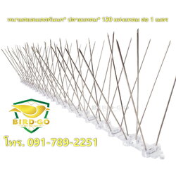 หนามสแตนเลสกันนก ชนิดฐานคาบอเนต ปลายแหลม 120 แท่ง