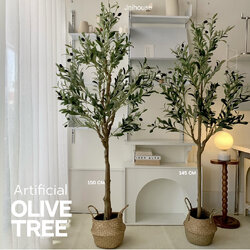 [พร้อมส่ง] Jnihouse : ต้นมะกอกประดิษฐ์ (Artificial Olive Tree) ต้นไม้ปลอม