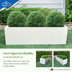 กระถางต้นไม้ ชุด 10 ใบ ลงสีคุณภาพพร้อมเคลือบเงาสามารถวางได้ทั้งกลางแจ้งและในร่ม ขนาด 30*100* cm. วัสดุเป็นปูน
