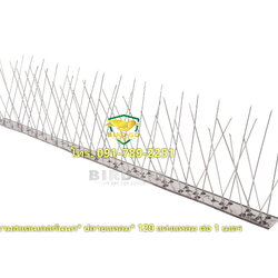 หนามสแตนเลสกันนก ชนิดฐานสแตนเลส ปลายแหลม 120 แท่ง