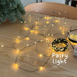 [พร้อมส่ง] Jnihouse : ไฟเส้นลวดสีเขียว 5,10,20 เมตร(Fairy Light)