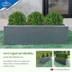 กระถางทรงรางยาว กระถางต้นไม้ set 10 ใบ ลงสีคุณภาพพร้อมเคลือบเงาสามารถวางได้ทั้งกลางแจ้งและในร่ม ขนาด 30*100* cm. วัสดุเป็นปูน