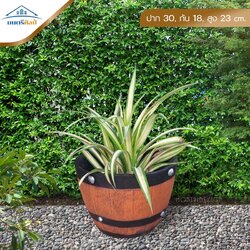 กระถางดอกไม้ กระถางปูนลายไม้ งาน DIY รุ่น EF1 ขนาด ปาก 30 cm. ก้น 18 cm. สูง 23 cm.