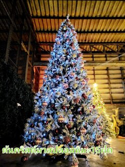 เช่าต้นคริสต์มาสปลอมยังไง"ให้คุ้มค่าที่สุด"