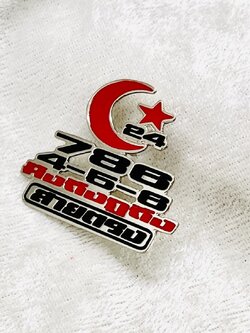 เข็มกลัดฉลุโลโก้