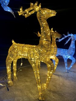 ให้เช่ากวางเรนเดียร์ไฟประดับ ขนาด 1.5เมตร