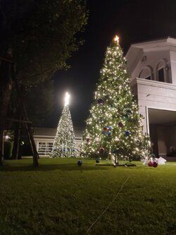 ต้นคริสต์มาสปลอมตกแต่งไฟคริสต์มาส