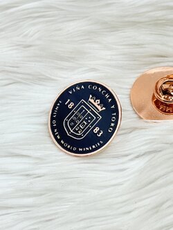 พินโลโก้