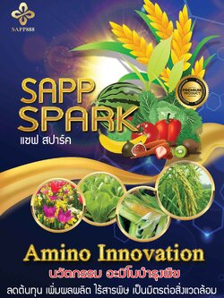 Sapp Spark Amino Innovation นวัตกรรม อะมิโนบำรุงพืซ อาหารสำหรับพืช ลดต้นทุน เพิ่มผลผลิต เป็นมิตรกับคน และสิ่งแวดล้อม