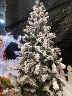 ให้เช่าต้นคริสต์มาสหิมะขนาด6ฟุต