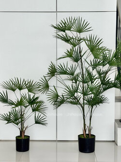 [พร้อมส่ง] Jnihouse : ต้นจั๋งประดิษฐ์ (Lady palm tree)