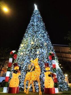 เช่าต้นคริสต์มาสขนาดใหญ่"เรทราคาปี2023"