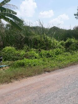 ขายที่ดินเปล่า 211 ตารางวา บ้านแพร้ว ราคาถูก เหมาะทำสวน ขาย 13,000/วา (N.659)