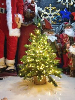 ให้เช่าต้นคริสต์มาสปลอมประดับไฟขนาด3ฟุต