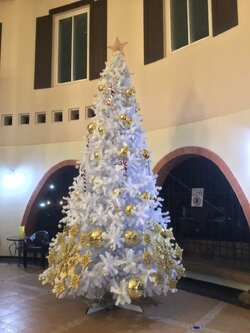 ต้นคริสต์มาสปลอมสีขาวขนาด20ฟุตพร้อมของตกแต่ง