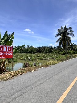 ขายที่ดินสวนผลไม้ อำเภอสามพราน ตำบลคลองจินดา นครปฐม 25 ไร่ (N.1737)