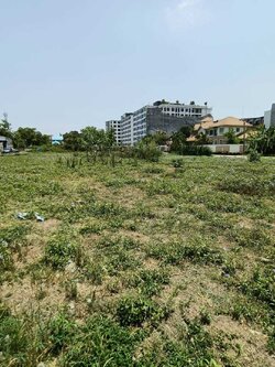 ขายด่วนที่ดินแปลงใหญ่ เลียบมอเตอร์เวย์ พัฒนาการ53 (N.633)