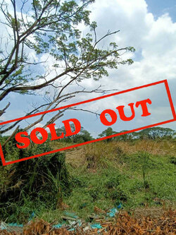 ขายที่ดินเปล่าแปลงใหญ่ พัฒนาการตัดใหม่ 2-3-28 ไร่ (N.640)