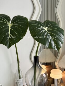 [พร้อมส่ง] Jnihouse : กิ่งใบฟิโลเดนดรอนประดิษฐ์(Philodendron Leaf)(tree)