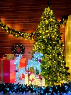 ให้เช่าต้นคริสต์มาสพร้อมของตกแต่ง SET M.รวม