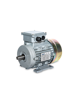 มอเตอร์ 3 เฟส TRANSTECNO 0.9 KW (0.12 แรงม้า) 4 Pole 1450 rpm B3 ALU