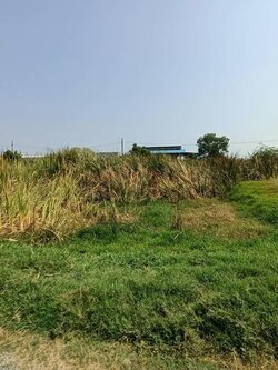 ขายที่ดิน ติดถนนคุ้มเกล้า คลลอง4 (N.636)