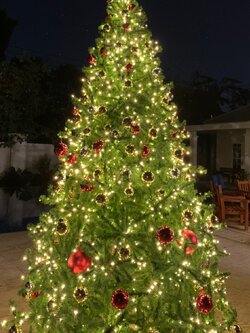 คัดสรร 2แบบ ต้นคริสต์มาสมาให้เช่า