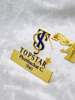 เข็มกลัดฉลุโลโก้