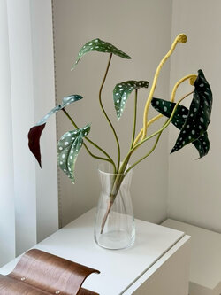 [พร้อมส่ง] Jnihouse : กิ่งบีโกเนียลายจุด (Artificial Begonia Maculata Tree)