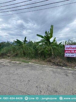 ขายที่ดินเปล่าถมแล้ว ถนนรังสิต-นครนายก 33 คลอง 2 ธัญบุรี (N.1879)