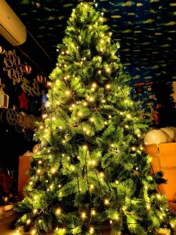 คุณอยากเช่าอะไรในวันคริสต์มาส"เพื่อการตกแต่ง"