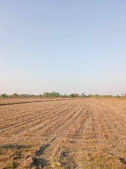 ขายด่วน ที่ดิน 22-3-38 ไร่ **ติดถนน ประทุมรัตน์ ร้อยเอ็ด (N.916)