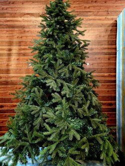 สำหรับการเช่าต้นคริสต์มาสใบนอก ขนาด7ฟุต พุ่มใบหนา