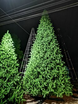 ต้นคริสต์มาสขนาด 6 เมตรสีเขียวแบบหนาพิเศษ