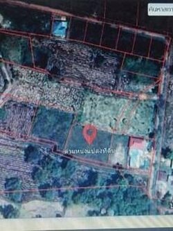 ขายที่ดินถูกมากก3 งาน 53.5 ตารางวา อุบลราชธานี เพียงแค่ 1.5 ล้านบาท(ฟรีโอน) (N.440)