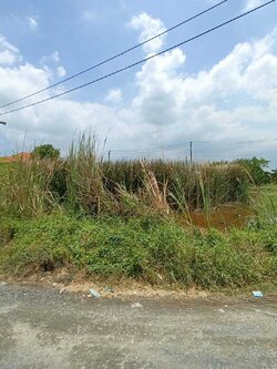 ขายที่ดินเปล่าทำเลยอดนิยมย่านพัฒนาการ ซอย อ่อนนุช 70/1 (N.642)