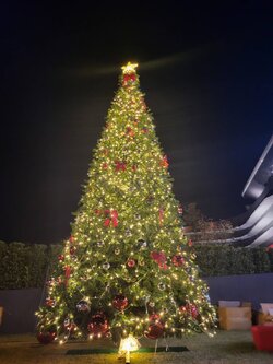 ราคาต้นคริสต์มาสปลอม6เมตรพร้อมติดตั้ง