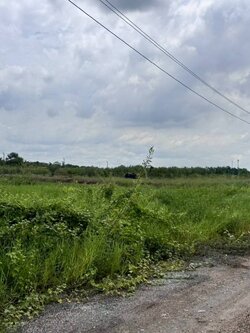 ขายที่ดินสวย ฉลองกรุงการ์เด้น ซอยวัดอู่ตะเภา ตรงข้าม FBT ฉลองกรุง (N.1754)