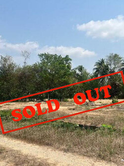 ขายที่ดินสวย 50 ตร.วา ตรงข้าม สนง. เทศบาล ต.ตะเคียนเตี้ย (บางละมุง) (N.991)