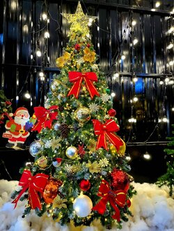 ต้นคริสต์มาสตกแต่งสวยๆขนาด10ฟุต