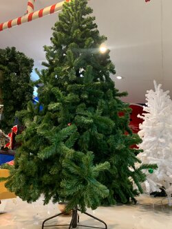 ราคาต้นคริสต์มาสสีเขียวขนาด 6 ฟุต