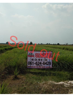 ขายที่ดินเปล่าแปลงสวย วัดอู่ข้าว คลอง7 เหมาะมาก กับทุนที่ชอบถือเก็บไว้ (N.011)